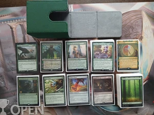 MTG Commander Deck Ghalta, Primal Hunger 100 Magic Deck Sleeved mit Box grün - Bild 1 von 9