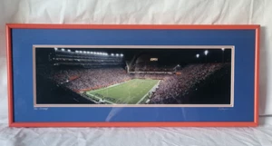 Foto panoramica Ben Hill Griffin Stadium La palude incorniciata Florida Gators - Foto 1 di 3