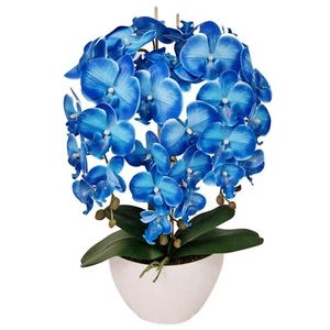 Damich Künstliche Orchidee, Gummi, weißer Topf, 3pgrk2, blau - Bild 1 von 1