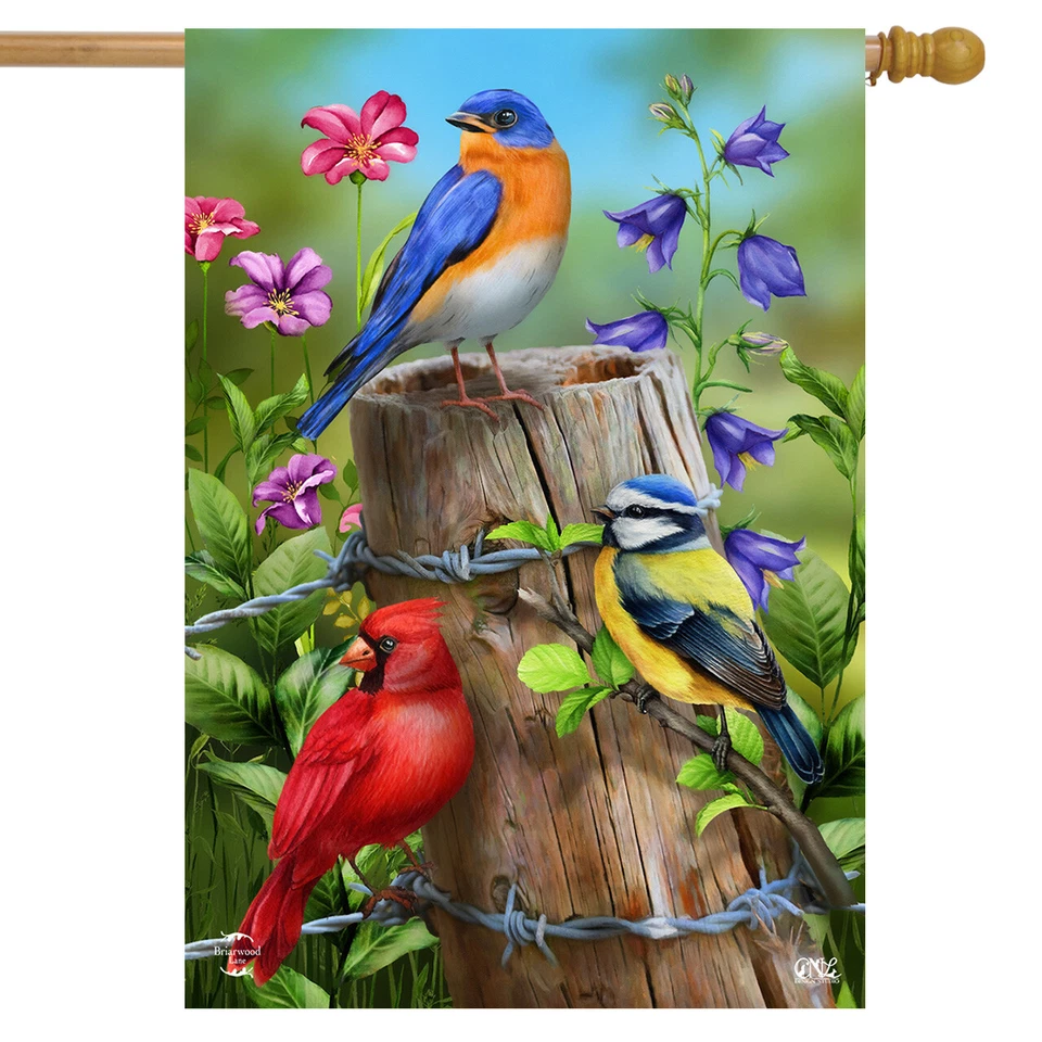 Cerca Poste Pájaros Casa de Primavera Bandera Cardinal Bluebird 28" x 40" Briarwood Lane Foto 1 de 4