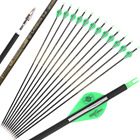 30"" Carbon Arrows SP300-600 Recurve Bow Compound Bows Practice Targeting