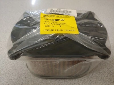 NUEVO FILTRO DE AIRE HYOSUNG / FILTRO DE AIRE (PARTE # 13780HM8100) Foto 1 de 4