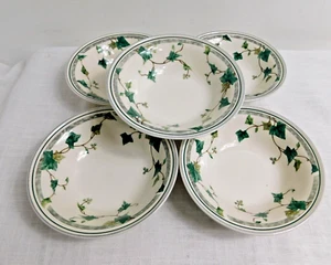 B7 - Keltcraft by Noritake Ireland Ivy Lane Cereal / Soup Bowls Lot of 5 - Picture 1 of 4