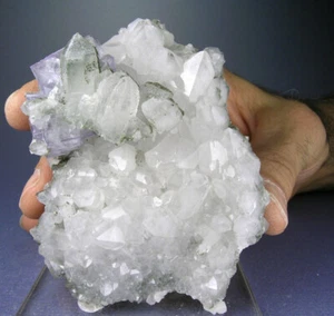 5-MINERALS FLUORITE, QUARTZ, CALCITE, PYRITE, YAOGANGXIAN, CHINA, GLOBE MINERALS - Picture 1 of 4