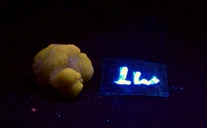 Fluoreszierender Chalcedon Blütenknolle für Mineralienprobe AF74 - Bild 1 von 7