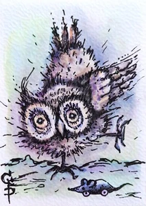 ACEO Owl Painting Funny Bird Original Watercolor Art Collectible card by Ginna - Picture 1 of 2