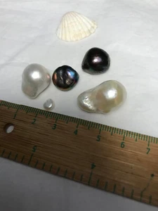 4 Riesig-Groß 2 tolle echte Südsee-Zuchtperlen +1 Naturperlen+Münzperle Schwarz - Bild 1 von 16