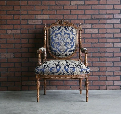 Antique French Carved Frame Accent Chair ~ Louis XV Fauteuil ~ Rococo Chair Cover
