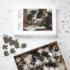 Kittens Planning - Puzzle (110, 252, 500, 1014-piece)