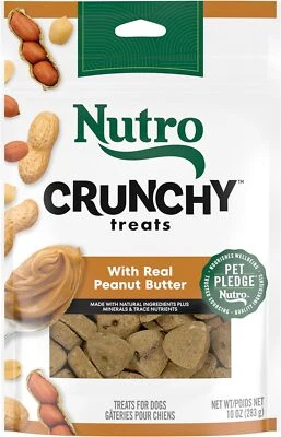 NUTRO Crunchy Dog Treats with Real Peanut Butter, 10 oz. Bag - Image 1 of 4