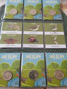 NEU - Guernsey Wildlife 10p Kursmünzensatz - Moor - gerade erschienen! - Bild 1 von 1