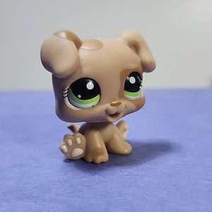 Littlest Pet Shop #1353 Baby Boxer Puppy 2007 Hasbro - Picture 1 of 6