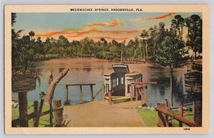 Brooksville Florida, Weekwachee Springs, barco de crucero, postal c. 1940s - Imagen 1 de 2