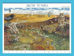 3802 US ...Arctic Tundra...Never Hinged Sheet issued year 2003 - Picture 1 of 2