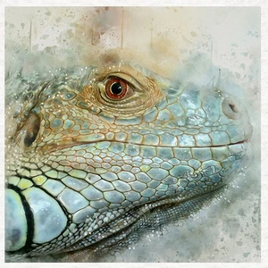 Paneles artesanales de tela para animales -Iguana- 100 % algodón o poliéster - Imagen 1 de 1