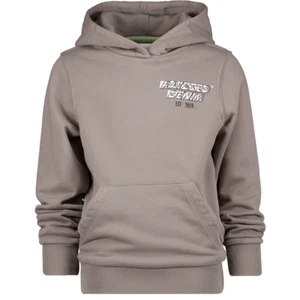 RAIZZED Jungen Sweatshirt Pullover Hoodie Kapuze NEWBERG cloudy grey Gr.116-176 - Bild 1 von 2