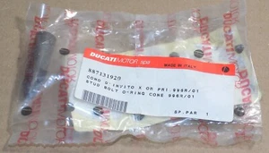 Cylinder Stub Bolt O-Ring Cone Tool DUCATI Superbike Monster Multi SS 887131920 - Picture 1 of 1