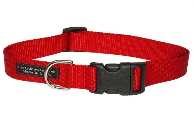 Sassy Dog Wear SOLID RED MED-C Nylon Webbing Dog Collar- Red - Medium - Image 1 of 1