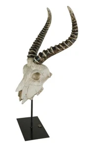 Authentic Models Skulptur "Antilopen Geweih" AR062 - Bild 1 von 2