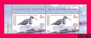 KYRGYZSTAN 2018 Nature Fauna Bird Ibisbill pair Mi KEP 94 MNH - Picture 1 of 1