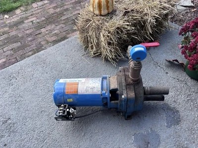 Jet Pump - Goulds Pumps - Image 1 of 3