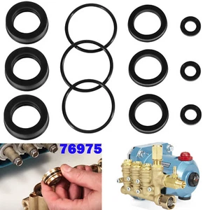 76975 Seal Kit for Cat 4DNX Pump 4DNX25GSI 4DNX27GSI-12PCS NBR Seals Set - Picture 1 of 19