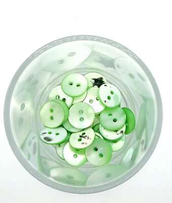 6 Stück Perlmutt Knöpfe trocas cleanbake 2 Loch natürlich BLAU GRÜN GRAU Töne - Bild 1 von 4