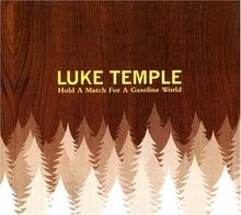 Hold a Match for a Gasoline Wo von Luke Temple | CD | Zustand sehr gut - Bild 1 von 2