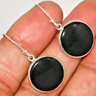 Natural Black Onyx - Brazil 925 Sterling Silver Earrings Jewelry E-1001
