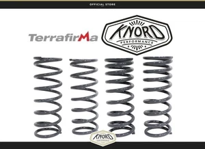 LAND ROVER DISCOVERY 2 +2 INCH LIFT MEDIUM LOAD FRONT AND REAR SPRINGS - Picture 1 of 1