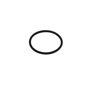 Dichtung O-Ring für Hochdruck Kraftstoffpumpe für Audi VW WHT005184 - Bild 1 von 1