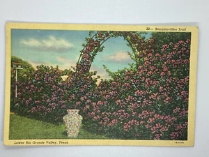 Postcard Lower Rio Grande Valley Bougainvillea Arch Poem Texas H333 - Bild 1 von 2