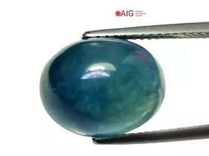 11,99 cts AIG blu zaffiro naturale ovale cabochon pietre preziose sfuse - Foto 1 di 4