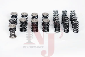 Dual valve springs set for 1.8T NJPerformance - Picture 1 of 1