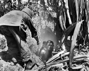 Soldado de Estados Unidos ayuda a mujer y niño japonés a salir de la cueva Saipán 8x10 Segunda Guerra Mundial Foto 904a - Imagen 1 de 2