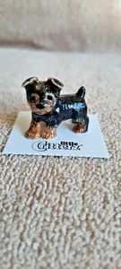 LITTLE CRITTERZ Dog Yorkshire Terrier "Smoky" Miniature Figurine New LC805 - Picture 1 of 7