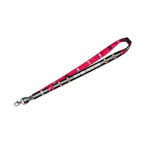Toronto Raptors 2019 NBA Finals Champions Basketball Collectors Lanyard Keychain - Picture 1 of 1