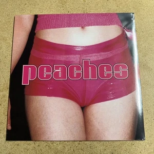 SEALED PEACHES THE TEACHES OF PEACHES LP Vinyl-Schallplatte - Bild 1 von 2