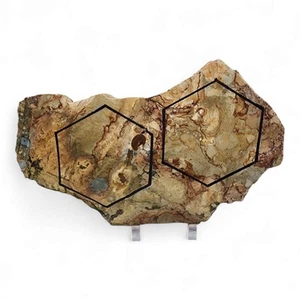 Picture Jasper Slab 330.6 grams. - Picture 1 of 2