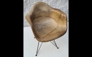 Eames Herman Miller Zenith Label Fiberglass Shell Chair Rope Edge Large Mount - Picture 1 of 10