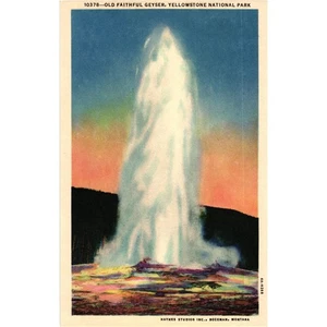 Old Faithful Geyser Postcard Yellowstone National Park Unposted - Picture 1 of 2