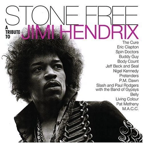 Jimi Hendrix Stone free-A tribute to (1993, v.a.: Cure, Eric Clapton..) [CD] - Bild 1 von 1