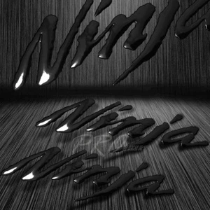 6.25" 3D Vinyl Emblem Fender Fairing Logo Sticker for Ninja ZXR ZZR Glossy Black - Picture 1 of 4