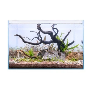 Swell Glass Aquarium 50cm – 40L Tank, Frameless Fish Tank - Picture 1 of 3