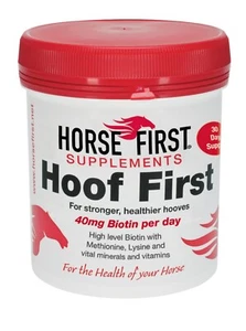 Horse First Hoof First - Picture 1 of 1