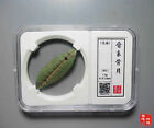 A Green Bone Cowry Shell Money#065-Western Zhou Dy (1046BC-771BC)-Jin State-XF!