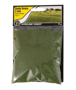 Woodland Scenics 613 Static Grass 2mm Dark Green NEW - Picture 1 of 1