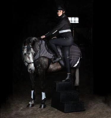 Sábana de competición Amigo Reflectech - gris/negro Foto 1 de 2