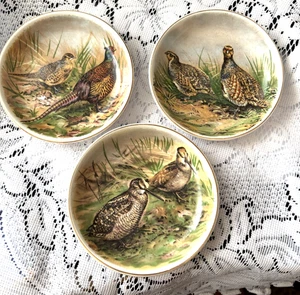 Juego Royal Tunstall Staffordshire Inglaterra/3 Platos Codorniz Faisán 4" Bordados en Oro - Imagen 1 de 3