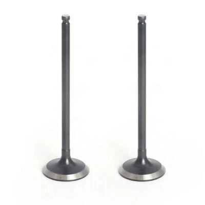 2x válvulas de admisión para Yamaha YZ250F 2001 02 03 04 05-2013 #5NL-12112-30-00 Foto 1 de 3